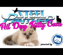 STEEL PANTHER Launches All-Day Kitty Cam With Animal Rescue ‘Heavenly Pets’