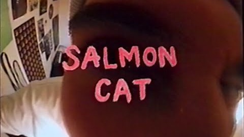 Salmon Cat: Dreamy bedroom-pop aiming for preemptive nostalgia
