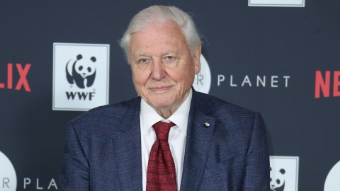 David Attenborough leaves Instagram just two months after breaking followers record