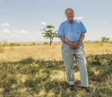 BBC refuses to broadcast David Attenborough episode over threat of “rightwing backlash”