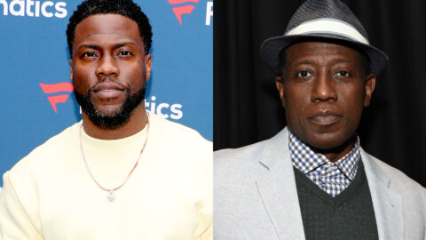 Kevin Hart and Wesley Snipes to play brothers in new Netflix miniseries