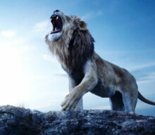 Disney confirms ‘Lion King’ live-action prequel film