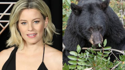 Elizabeth Banks to direct new thriller ‘Cocaine Bear’, based on bizarre true life story