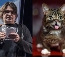 Steve Albini pays tribute to Lil Bub in new book celebrating internet-famous cat’s musical legacy