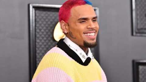 Chris Brown’s former housekeeper sues singer over dog attack