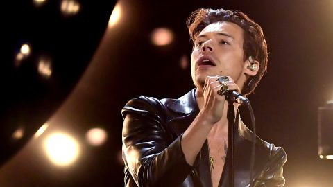 Watch Harry Styles pause gig to help fan with baby’s gender reveal