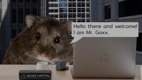Cryptohamster Mr. Goxx is a wheeling and dealing investor