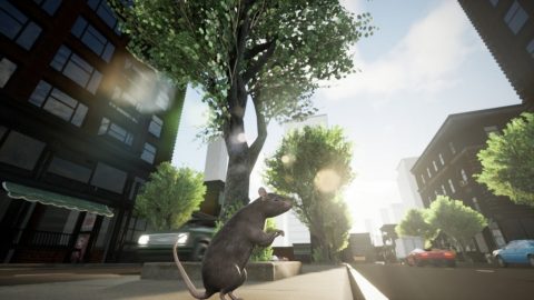 ‘New York Rat Simulator’ somehow misses out on the joys of being a rat