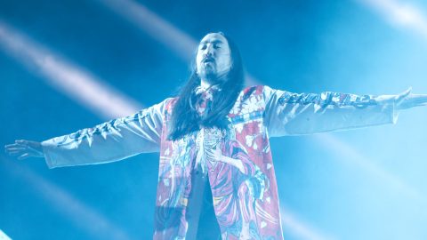Steve Aoki stops gig to show off his new $859,000 NFT