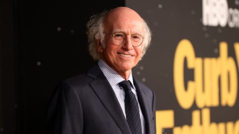 Larry David documentary pulled hours before premiere