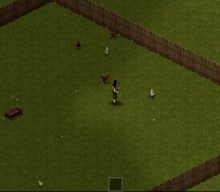 ‘Project Zomboid’ developer shares an early look at farmyard animals