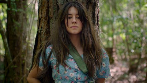 ‘Where The Crawdads Sing’ review: skip this manic pixie dream girl potboiler