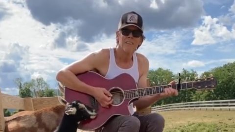 Watch Kevin Bacon perform Beyoncé’s ‘Heated’ to a couple of goats