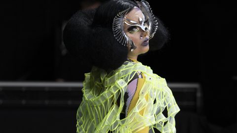 Björk shares ‘Ovule’ remix with Shygirl and Sega Bodega