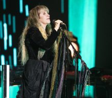Stevie Nicks shares poem and teases new song, urges fans to register to vote ahead of midterm elections