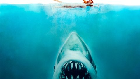Steven Spielberg says he “truly regrets” making sharks look bad in ‘Jaws’